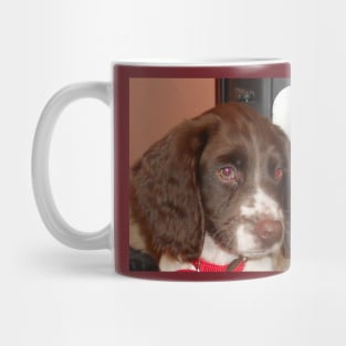 english springer spaniel liver white puppy Mug